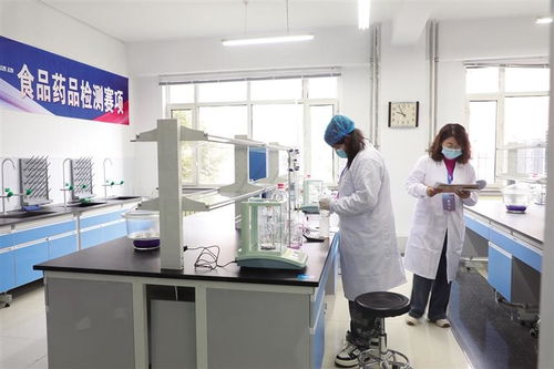 聚英才 展绝活 创未来 信息技术咨询服务的时代价值