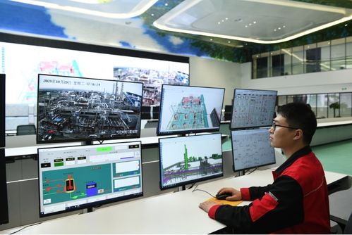 面向数字化未来，打造化工百年老店的信息技术咨询服务