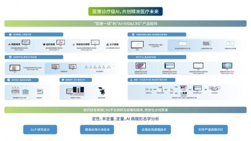 医策科技 从国内首个病理AI三类证到生态化进阶之路